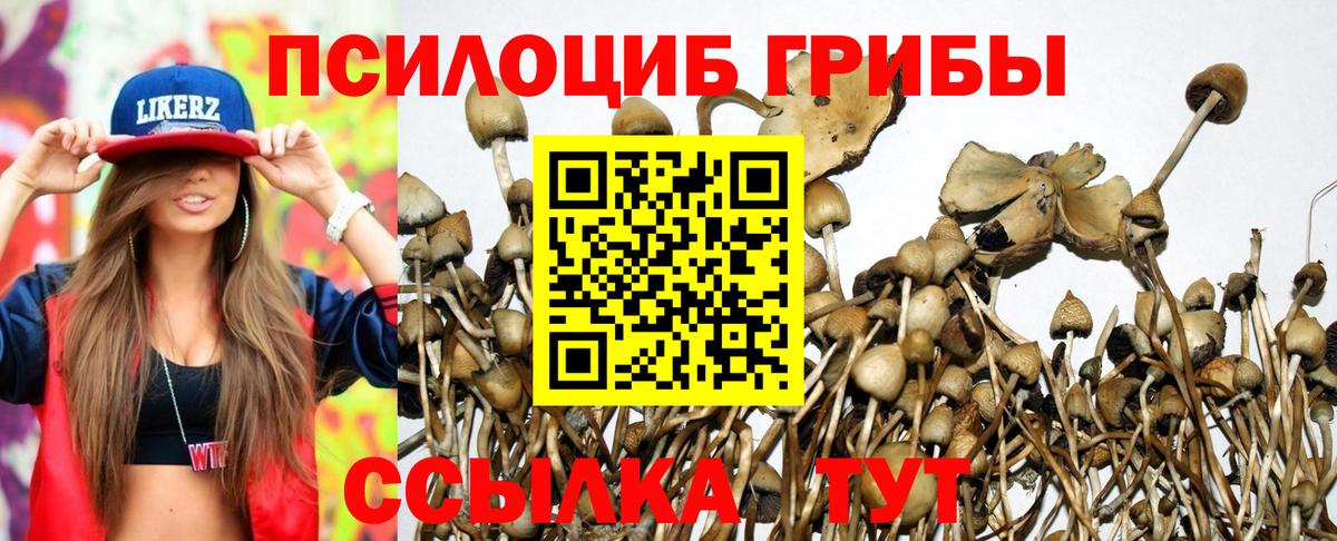 Галлюциногенные грибы ЛСД  Вход с VPN  Серпухов 