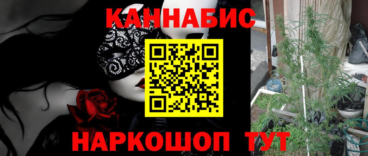 Бошки Шишки Bruce Banner  Вход с VPN  Серпухов  Бошки марихуана индика  МАРИХУАНА гибрид 